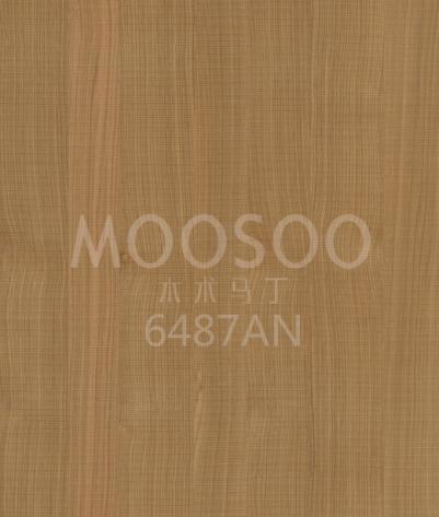 6487AN