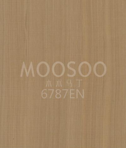 6787EN