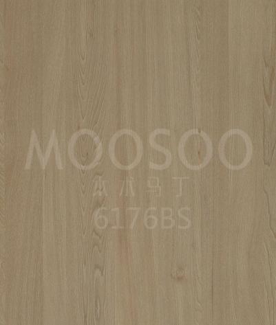 6176BS