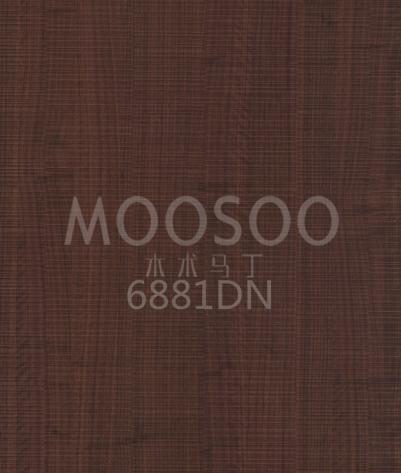 6881DN