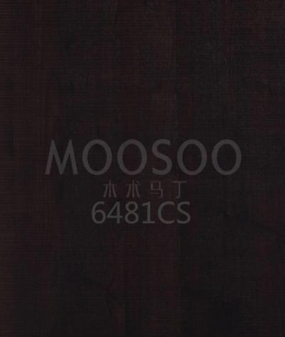 6481CS