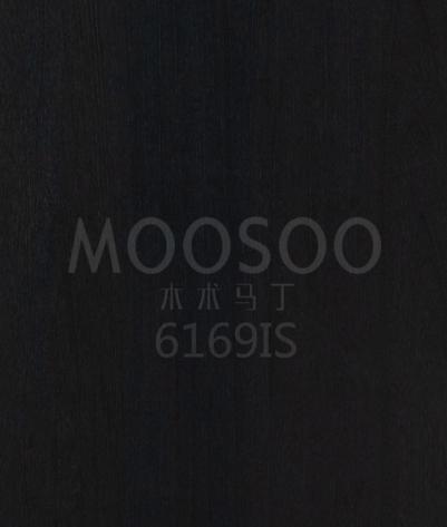 6169IS