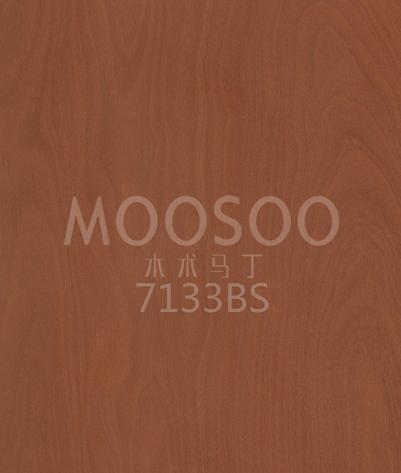 7133BS