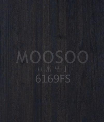 6169FS